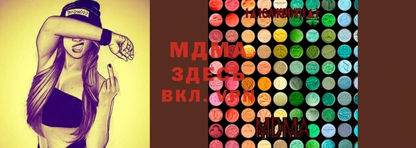 МДПВ Пересвет