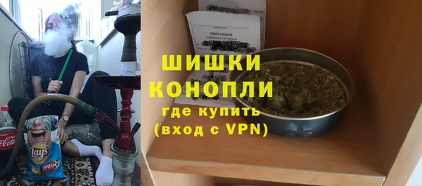МДПВ Пересвет
