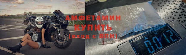 МДПВ Пересвет