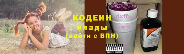 МДПВ Пересвет