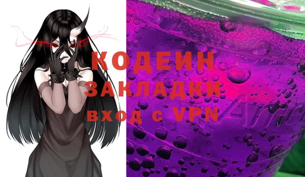 МДПВ Пересвет