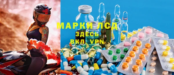 МДПВ Пересвет