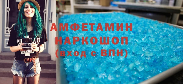 МДПВ Пересвет