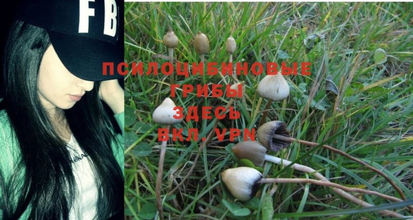 альфа пвп Пестово