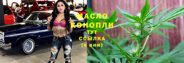 МДПВ Пересвет