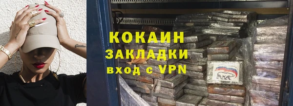 МДПВ Пересвет