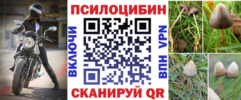 как найти наркотики  mega ссылки  Псилоцибиновые грибы GOLDEN TEACHER  Собинка 